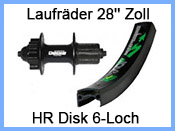 28'' HR Disc 6-Loch