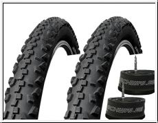 2 er Set Schwalbe Black Jack Set 57-559 inkl. 2 Schluche Schwalbe SV13